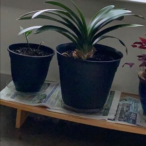 Meet your Posher, Yoon